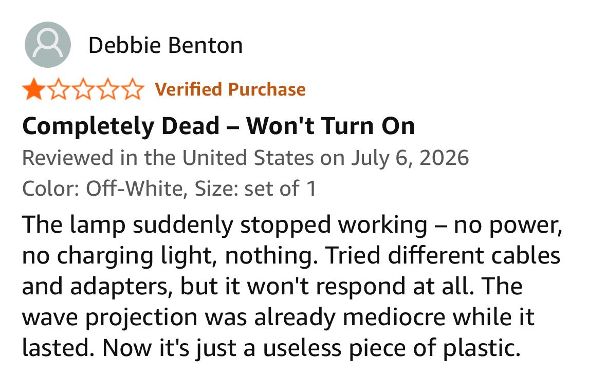 Amazon review screenshot 2